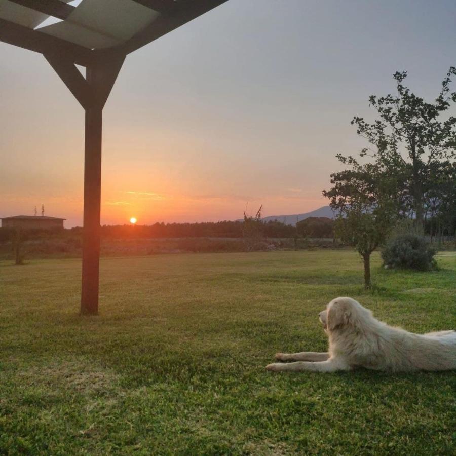 Fattoria Il Laghetto Bed & Breakfast ลาเมเซ แตร์เม ภายนอก รูปภาพ
